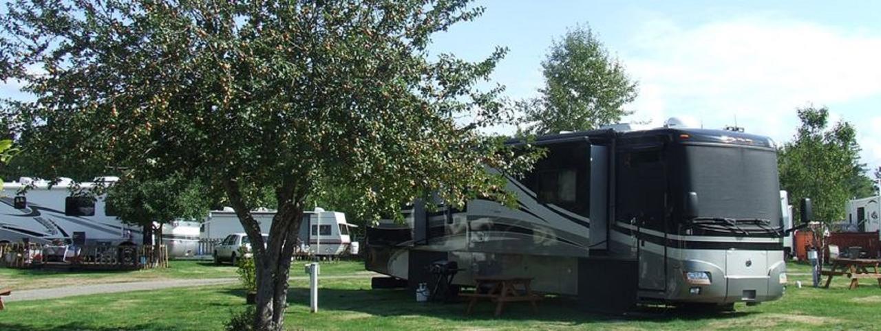 Orchard Queen Motel & Rv Park Middleton Bagian luar foto